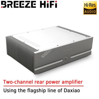 Двоен заден усилвател BREEZE HIFI D5PRO с помощта на швейцарската за домашно кино водещата линия Daxiao 
