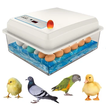 инкубатор за 20 яйца за пиле, гъска, птици, пъдпъдъци, автоматично инкубационное оборудване, инструменти за инкубация в инкубатории