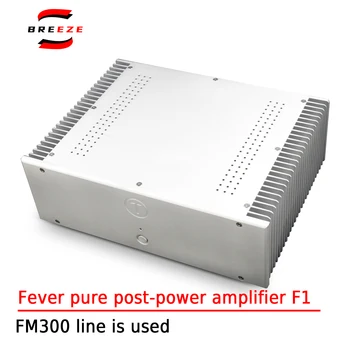 Усилвател на мощност BREEZE HIFI F1 Fever Pure постуровневого ниво за домашно кино премиум клас FM300A Line ON The Pipe King MJL4281